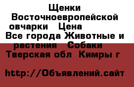 Щенки Восточноевропейской овчарки › Цена ­ 25 000 - Все города Животные и растения » Собаки   . Тверская обл.,Кимры г.